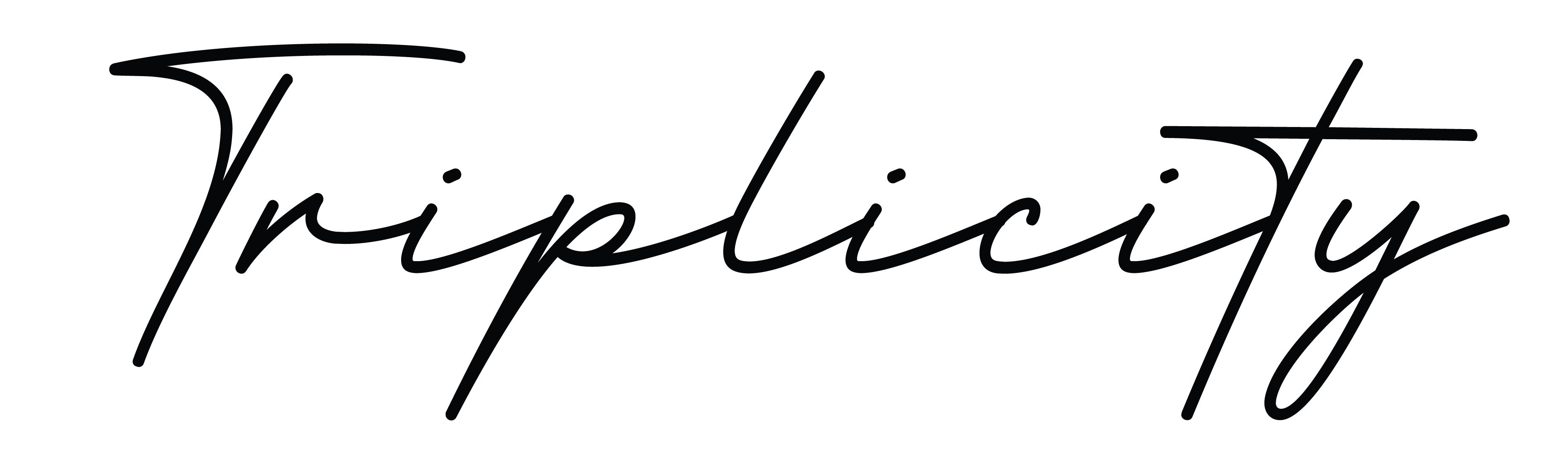 Triplicity Logo